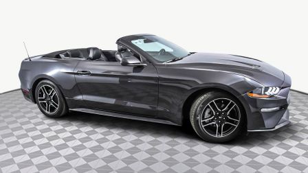 2023 Ford Mustang EcoBoost Premium                in Miami Gardens                