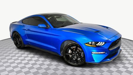 2020 Ford Mustang EcoBoost                