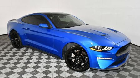 2020 Ford Mustang EcoBoost                in Houston                