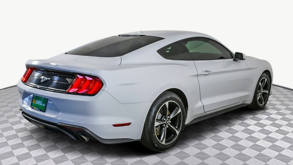 2019 Ford Mustang EcoBoost #5