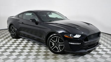2019 Ford Mustang EcoBoost Premium                in Delray Beach                