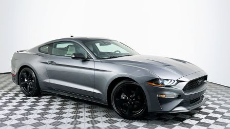 2021 Ford Mustang EcoBoost                in Houston                