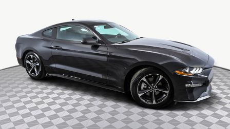 2022 Ford Mustang EcoBoost                in Pembroke Pines                