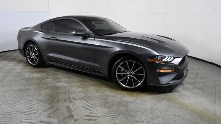 2019 Ford Mustang EcoBoost                in Hollywood                