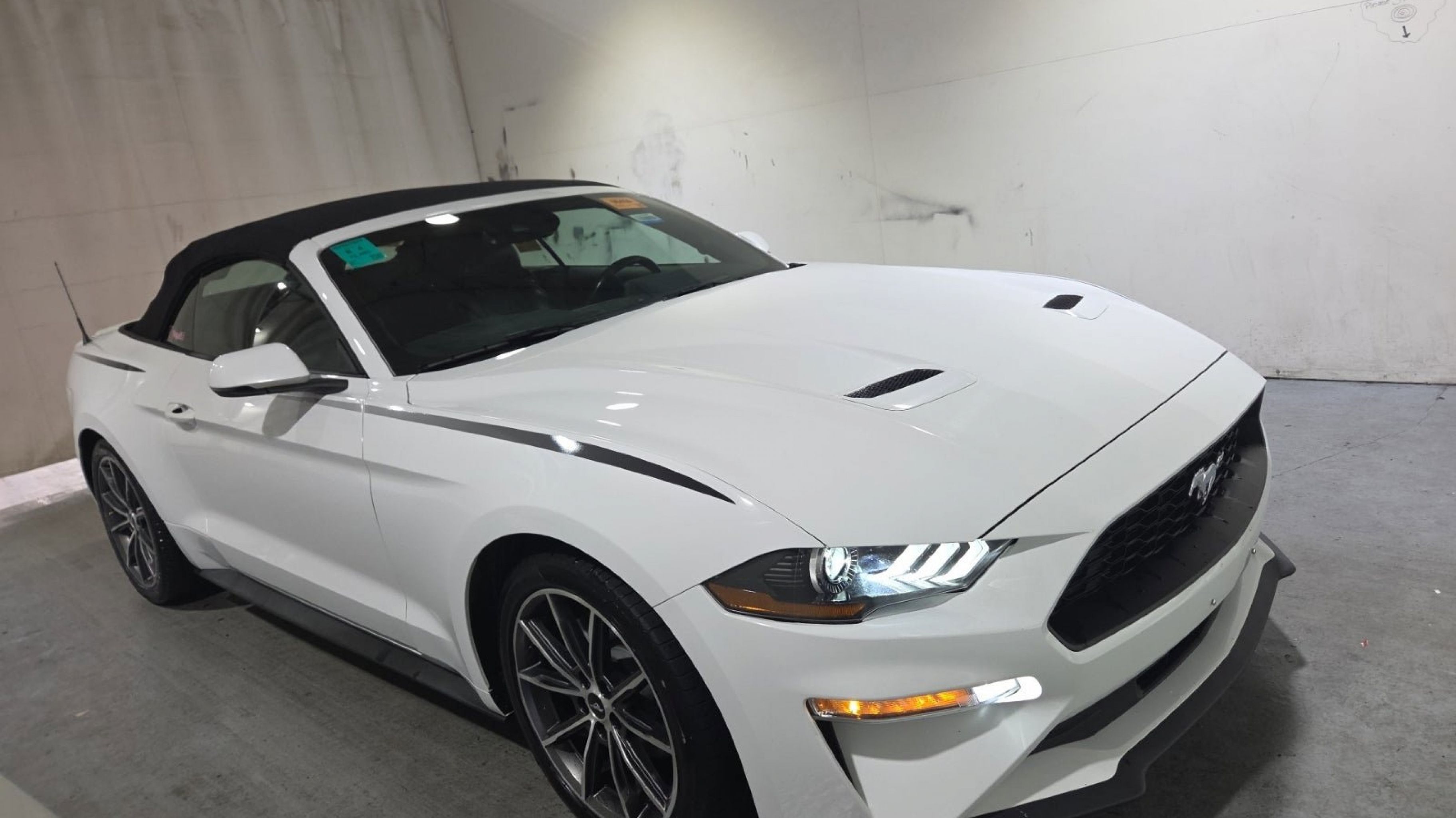 2019 Ford Mustang EcoBoost Convertible Premium's photo
