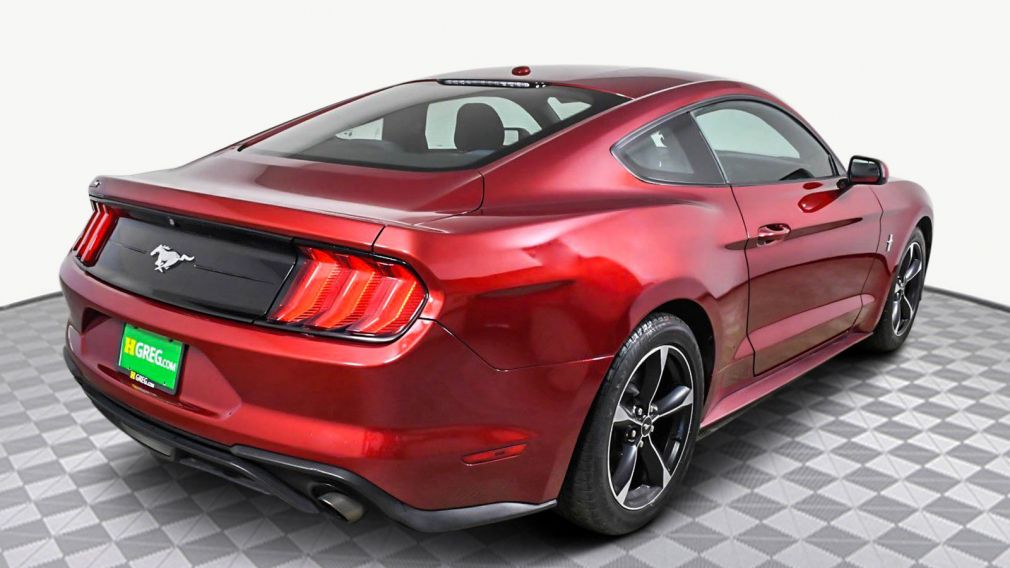 2019 Ford Mustang EcoBoost #5