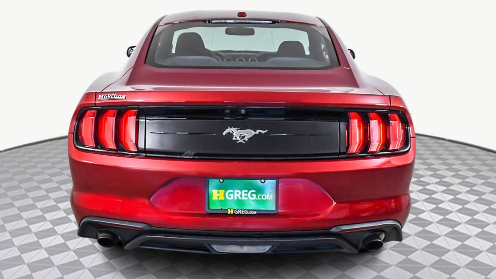 2019 Ford Mustang EcoBoost #4