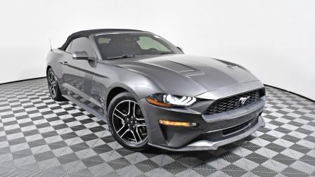 2018 Ford Mustang EcoBoost Premium                    in Tampa