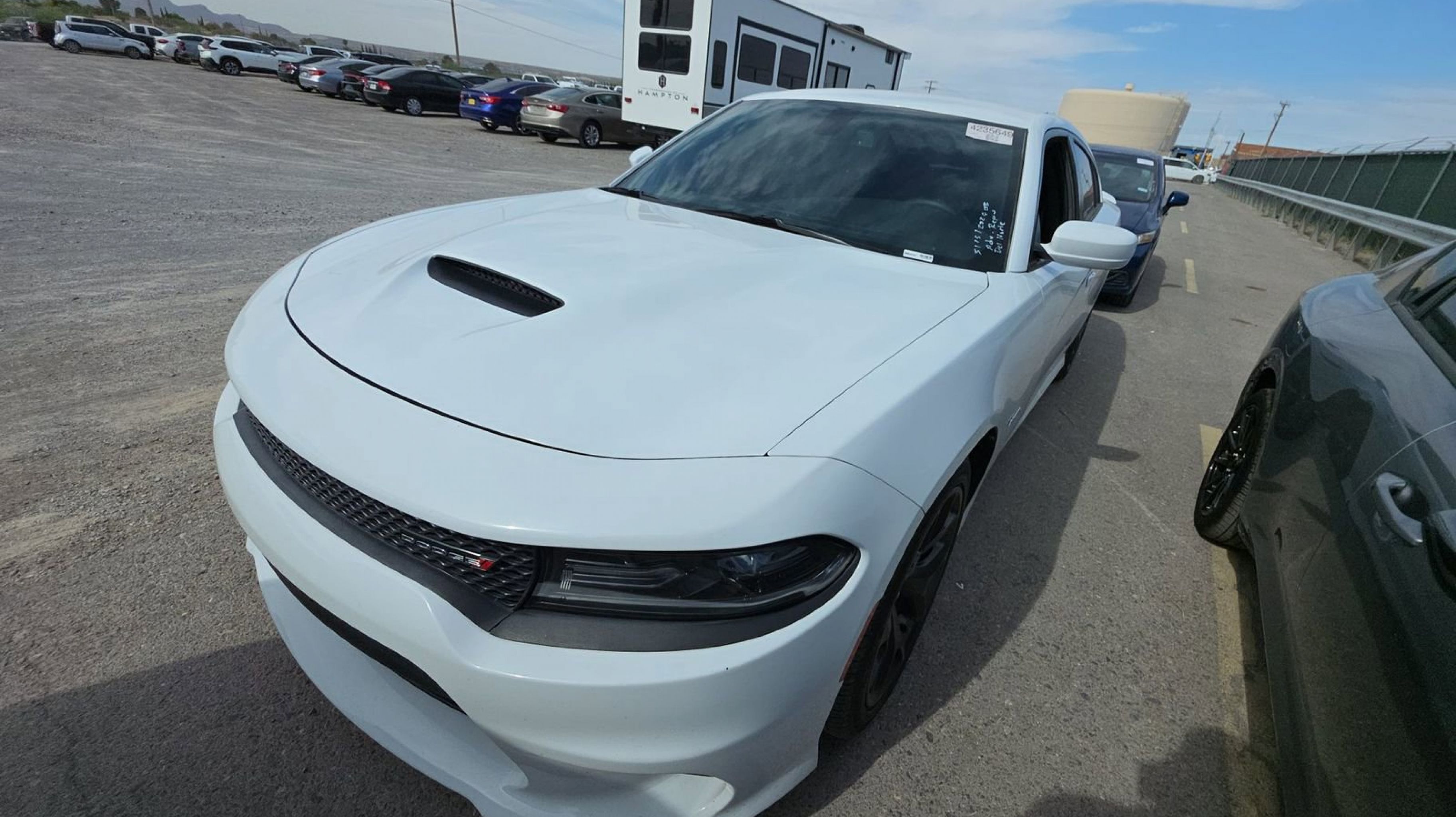 2019 Dodge Charger R/T's photo