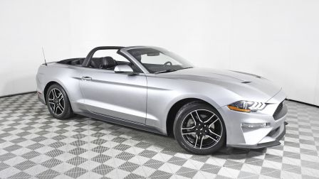 2020 Ford Mustang EcoBoost Premium                in Hollywood                