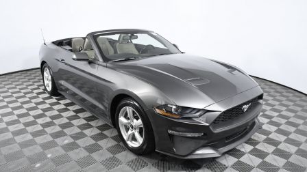 2019 Ford Mustang EcoBoost                    in Aventura