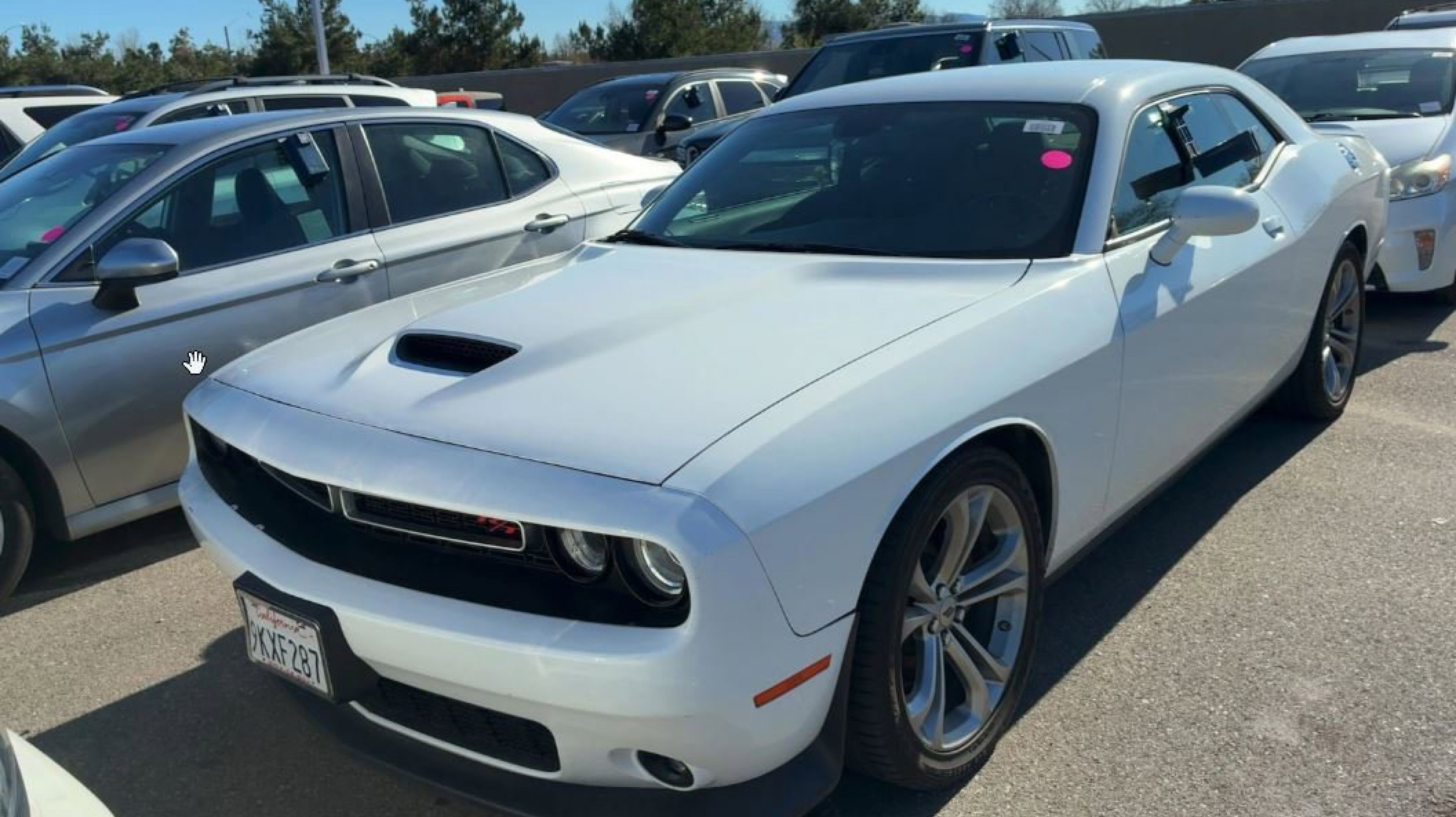 2022 Dodge Challenger R/T