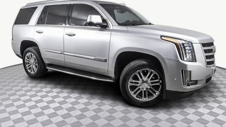 2017 Cadillac Escalade Base                in Ft. Lauderdale                
