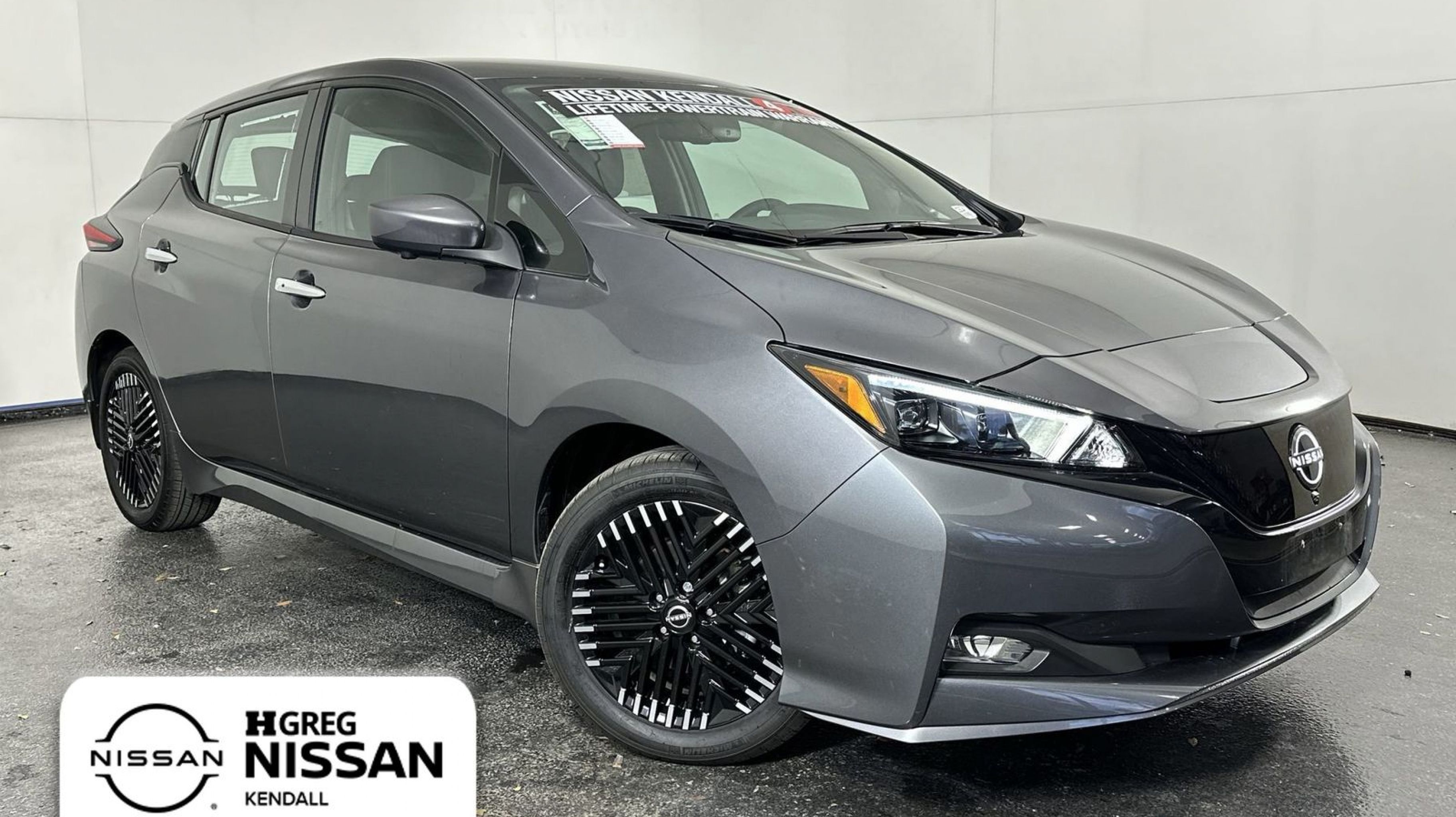 2025 Nissan Leaf SV PLUS's photo