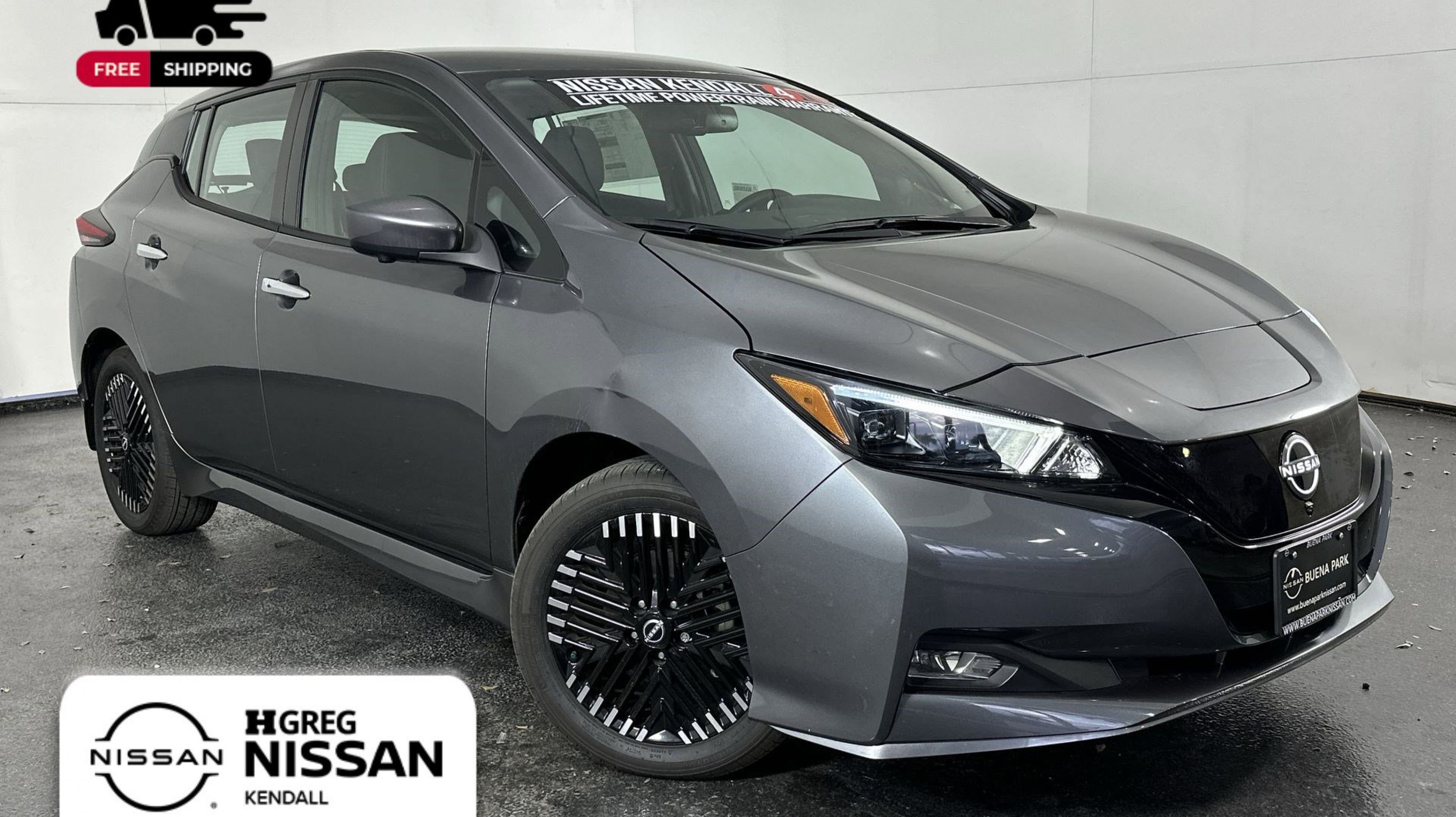 2025 Nissan Leaf SV PLUS's photo