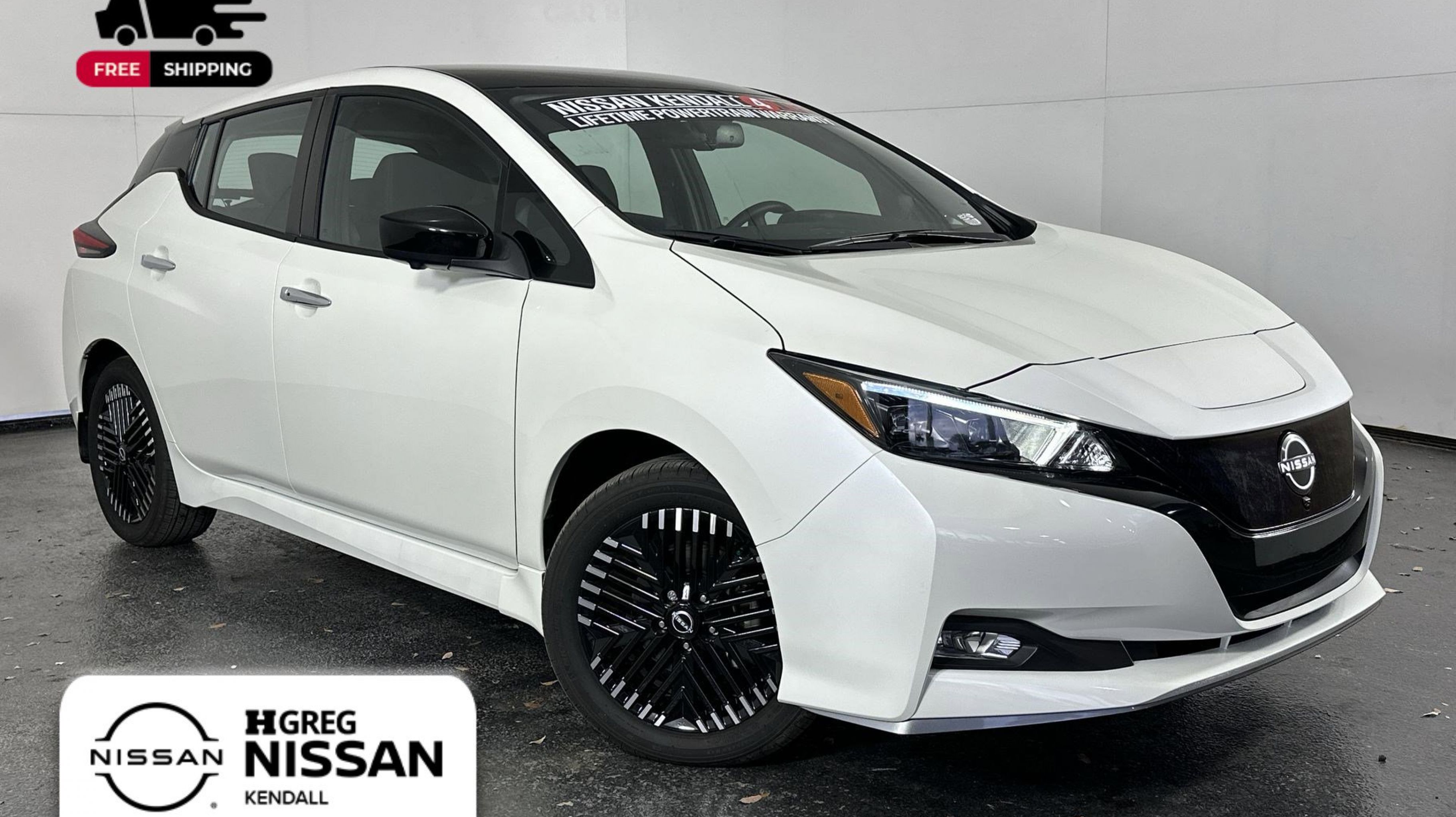 2025 Nissan Leaf SV PLUS's photo