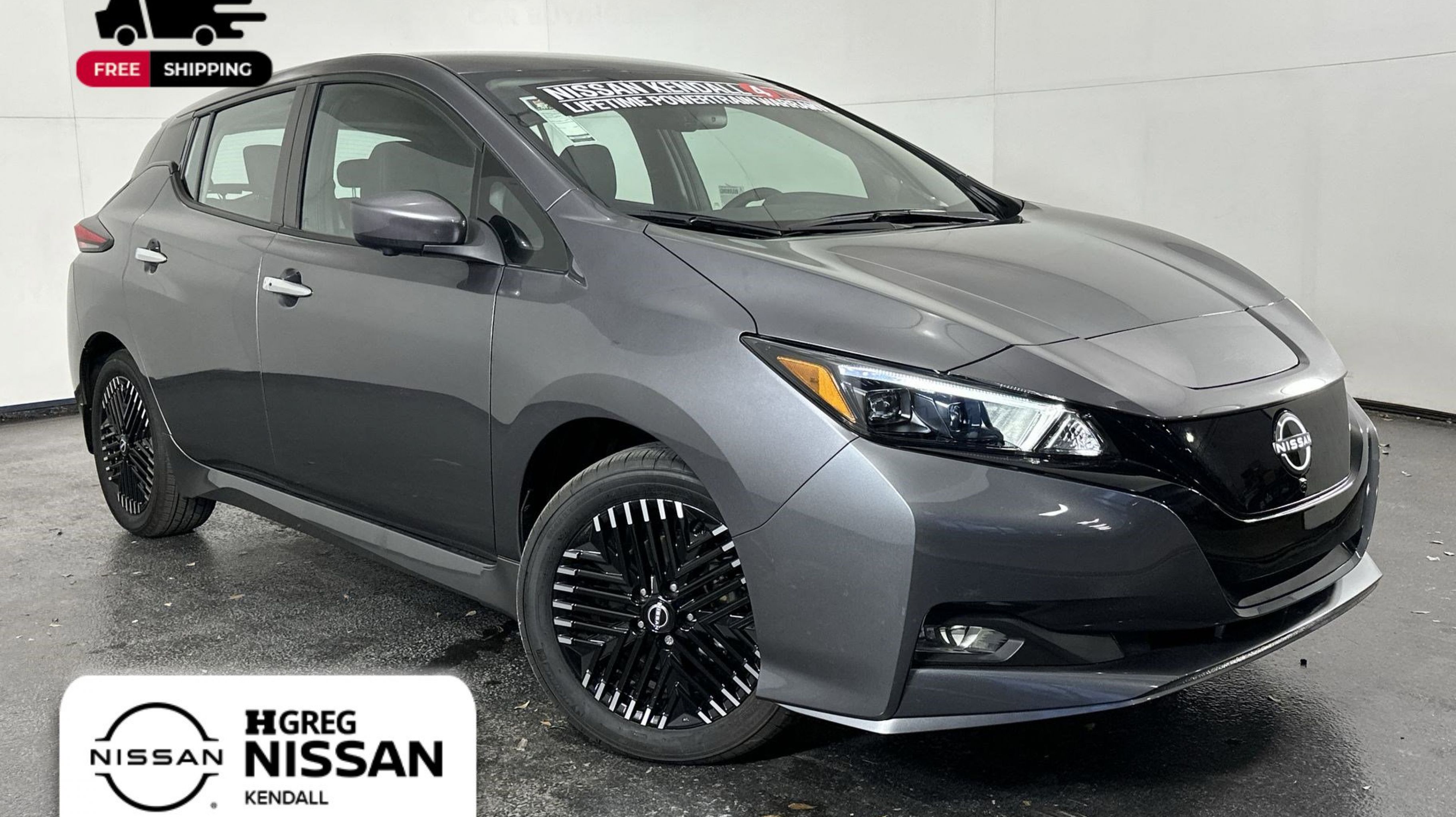 2025 Nissan Leaf SV PLUS's photo