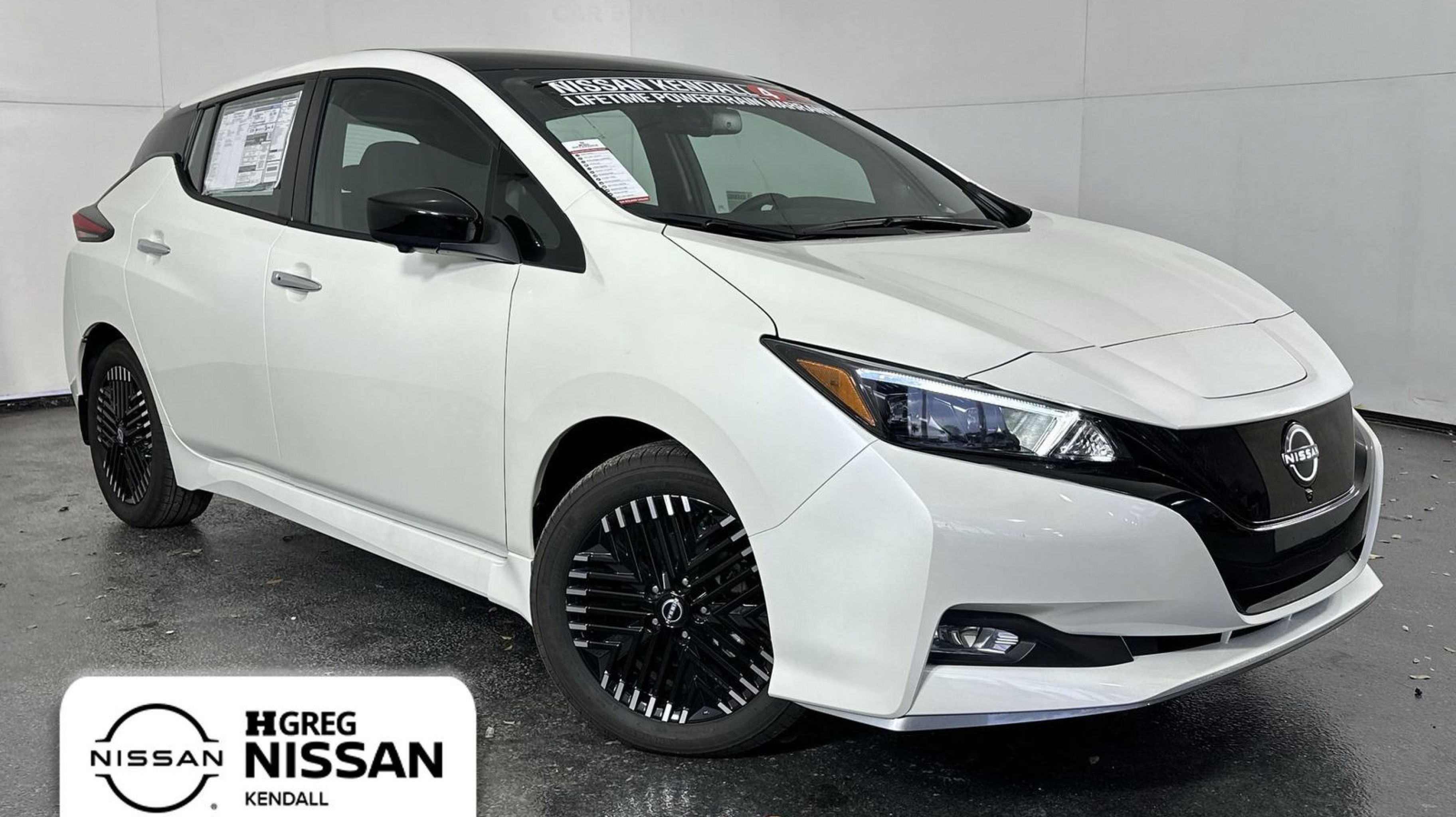 2025 Nissan Leaf SV PLUS's photo